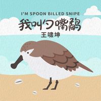 王啸坤 - 我叫勺嘴鹬