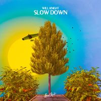 Will Knight - Slow Down