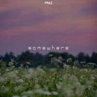 Fraz - somewhere (VIP Mix)
