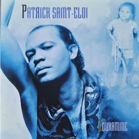 Patrick Saint-Eloi - Zoukamine