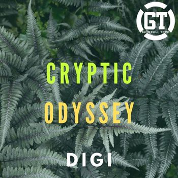 Digi - Cryptic Odyssey