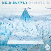 Spatial Awareness - Shy Nerruda EP