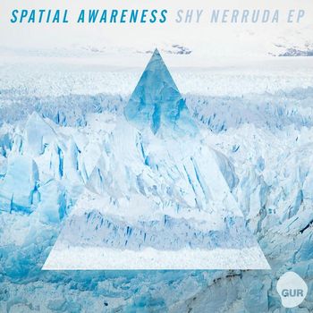 Spatial Awareness - Shy Nerruda EP
