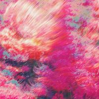 Kuni - Supposed To Be