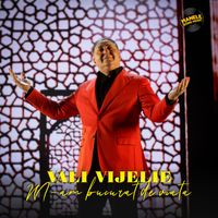 Vali Vijelie - M-am bucurat de viata