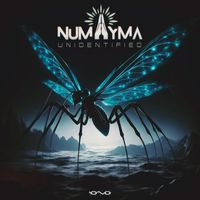 Numayma - Unidentified