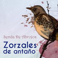 Orquesta Típica Victor - Zorzales de Antaño… Senda De Abrojos
