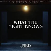 Bird - What The Night Knows (Radio Edit)