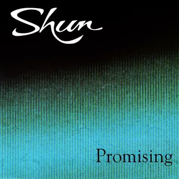 shun - Promising