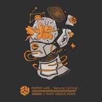Proper Lane - Natural Calling (Dirty Groove Remix)