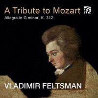 Vladimir Feltsman - Mozart: Allegro in G Minor, K. 312