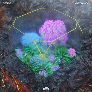 amies - difference