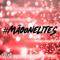 Fleva Productions - #mäoonelites