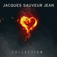Jacques Sauveur Jean - Collection