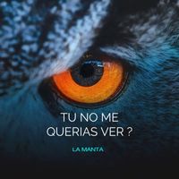La Manta - TÚ NO ME QUERÍAS VER?