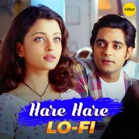 Udit Narayan, Alka Yagnik - Hare Hare (Lo-Fi Remix)