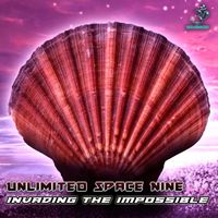 Unlimited Space Nine - Invading the Impossible