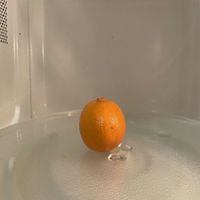 arc - Songs to Microwave an Orange To