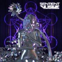 Vusive - Sentient