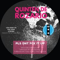 Quinten de Rozario - PLS DNT FCK IT UP