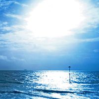 Torpedoes - Heaven's Light Our Guide