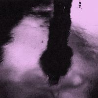 Halo - Tour du Monde (Explicit)