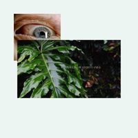 Wwiidobe - Every I And E