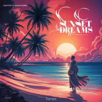 Tonez - Sunset Dreams (Aesthetic Nightcore)