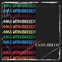 Latin Breed - Mas