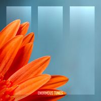 Daniel Portman - Essentials of Life