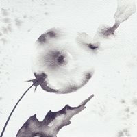 Sarah Spring - Before We Part