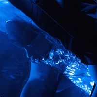 KIMONO - Na Regen Komt Neonlicht (Explicit)