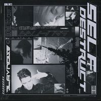 Blaynoise - Self Destruct