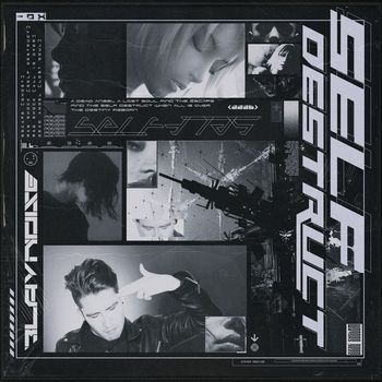 Blaynoise - Self Destruct