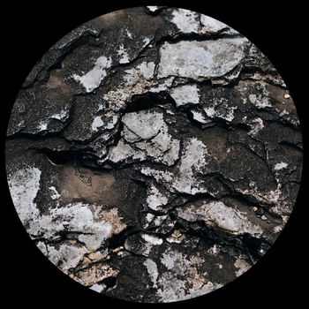 Biorc - Nebulosa