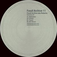 Fossil Archive, Roberto - Motionless EP