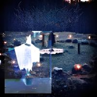 MANOR - xiii