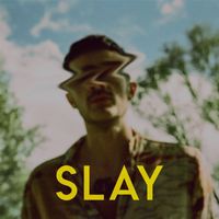ROI OS - Slay