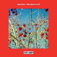 Andy Bach - Think About You EP