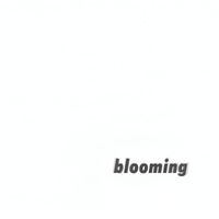 Tribu Oro - Blooming