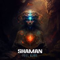 Shaman - Feel Alive
