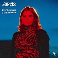 Birds - Freedom Is a State of Mind