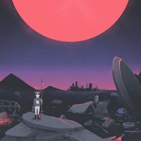 Tim Linghaus - VENUS YEARS