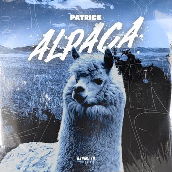 PATRICK - Alpaca