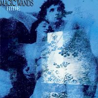 Magic Wands - Hide