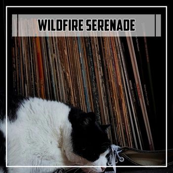 Various Artists - Wildfire Serenade