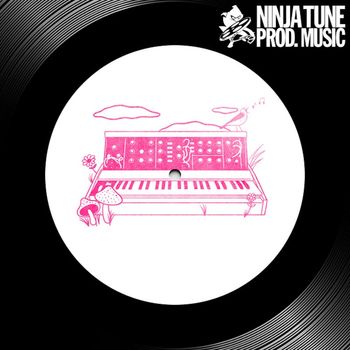 Various Artists - Whimsical Electronic