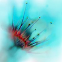 Ryan Teague - Homespun