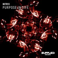MITR!X - Purpose in Life