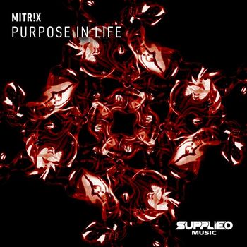 MITR!X - Purpose in Life